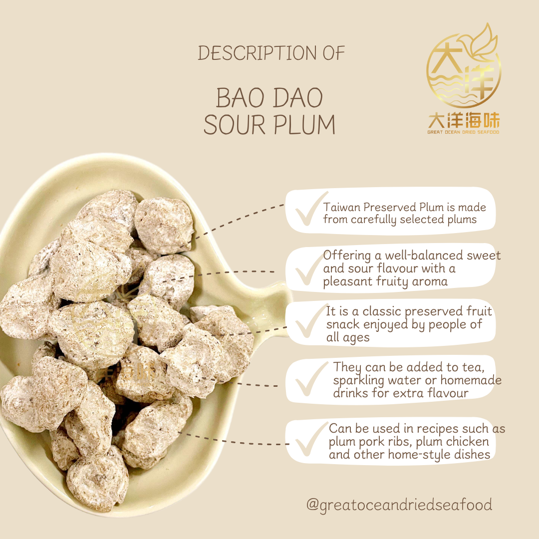 宝岛话梅 100g Bao Dao Sour Plum | Taiwan Preserved Plum