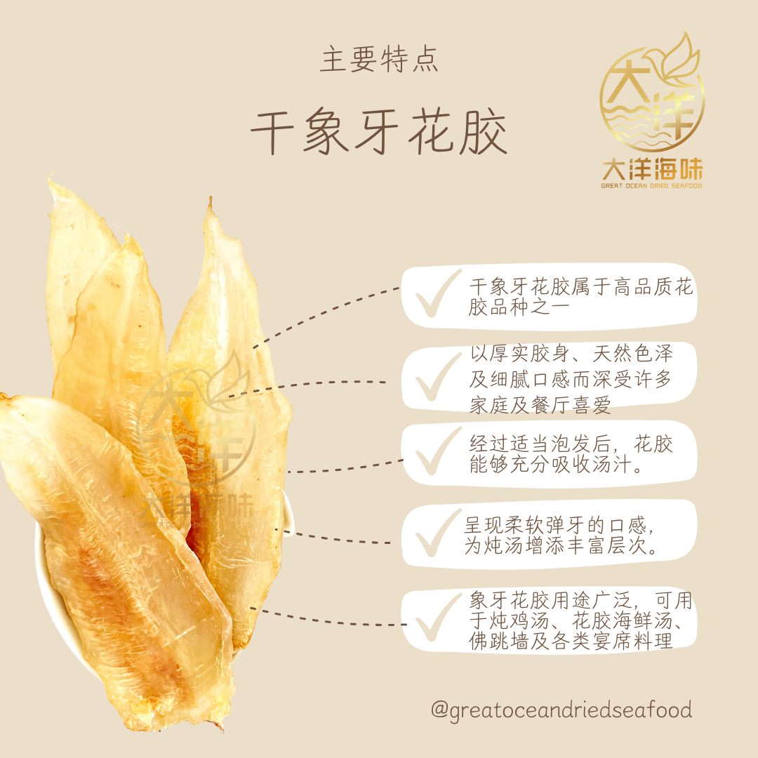 野生干象牙花胶 100g Premium Ivory Fish Maw