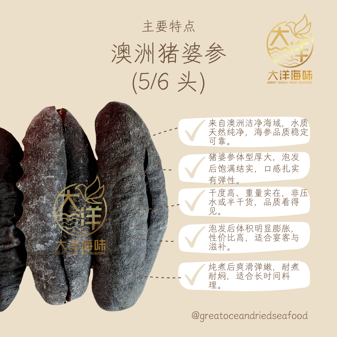 澳洲猪婆参 500g Australian Teat Sea Cucumber｜滋补海参｜干海参 多规格选择 (500g)