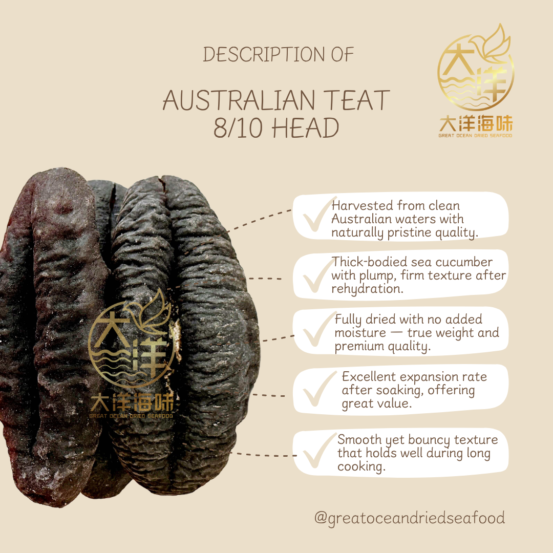 澳洲猪婆参 500g Australian Teat Sea Cucumber｜滋补海参｜干海参 多规格选择 (500g)