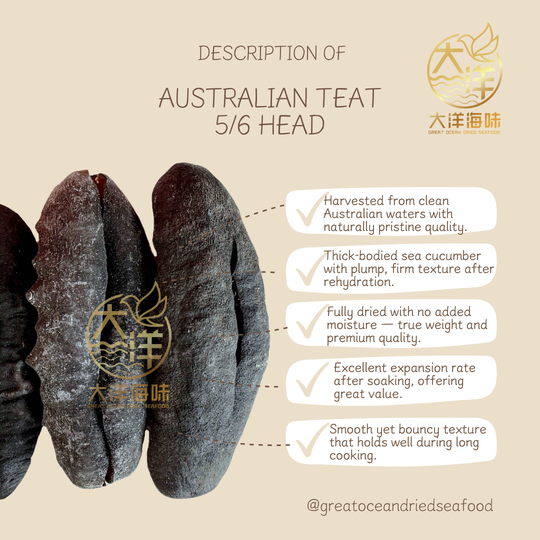 澳洲猪婆参 500g Australian Teat Sea Cucumber｜滋补海参｜干海参 多规格选择 (500g)