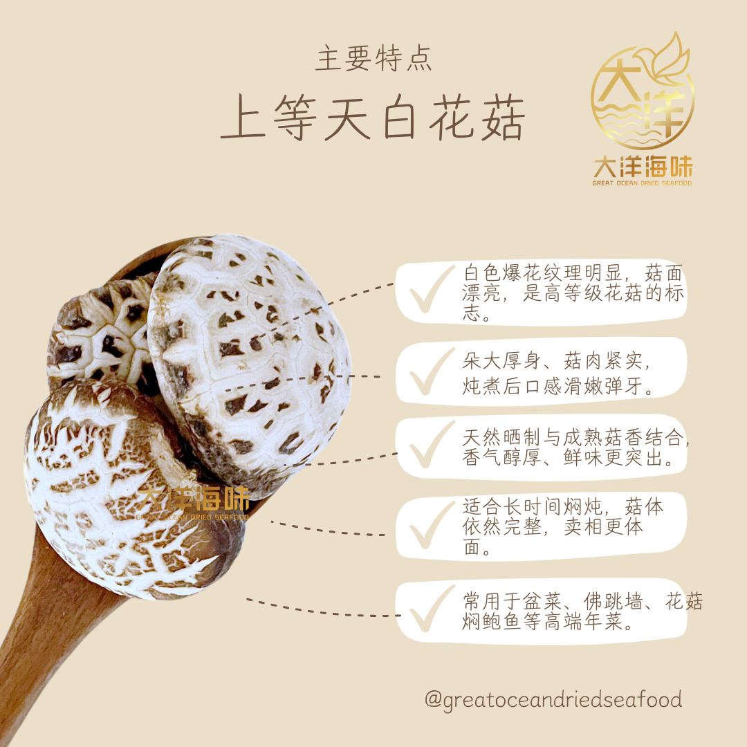 上等天白花菇 1kg｜Premium White Flower Shiitake Mushroom｜厚肉花菇 干香菇炖汤食材 高级礼品食材 1kg