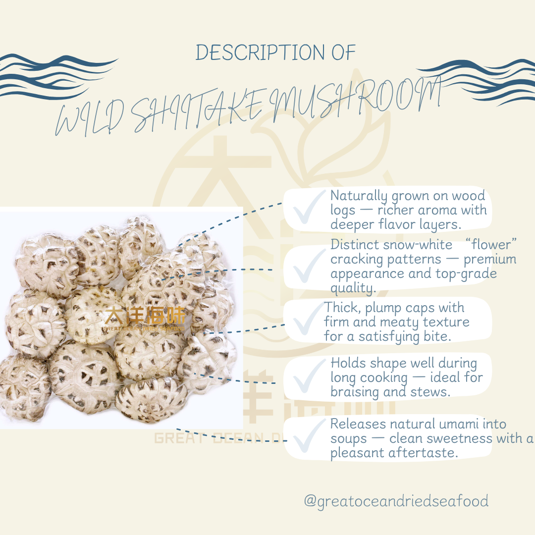[100g] Great Ocean Authentic Japanese Wild Shiitake Mushroom | 正宗日本野生天白花菇