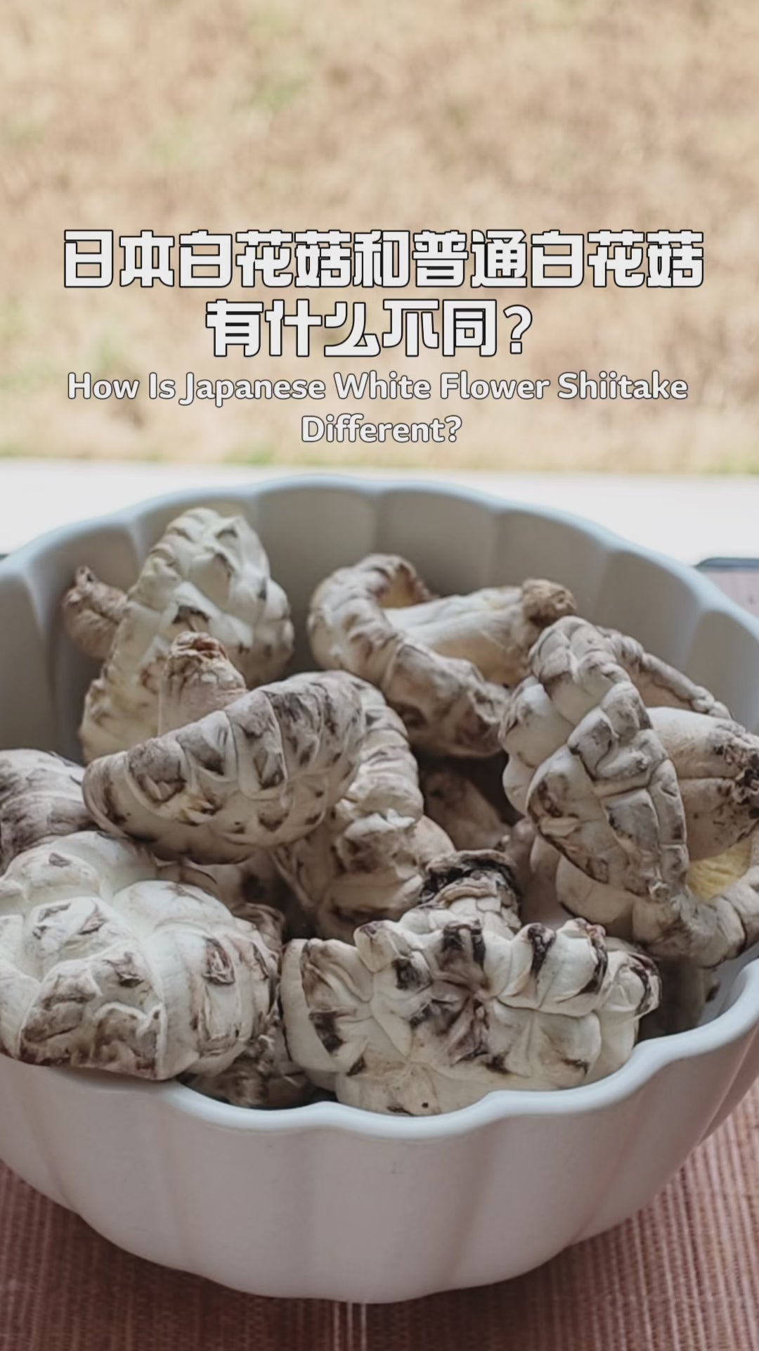 日本白花菇和普通白花菇有什么不同 · Japanese and Regular White Flower Mushrooms Compared