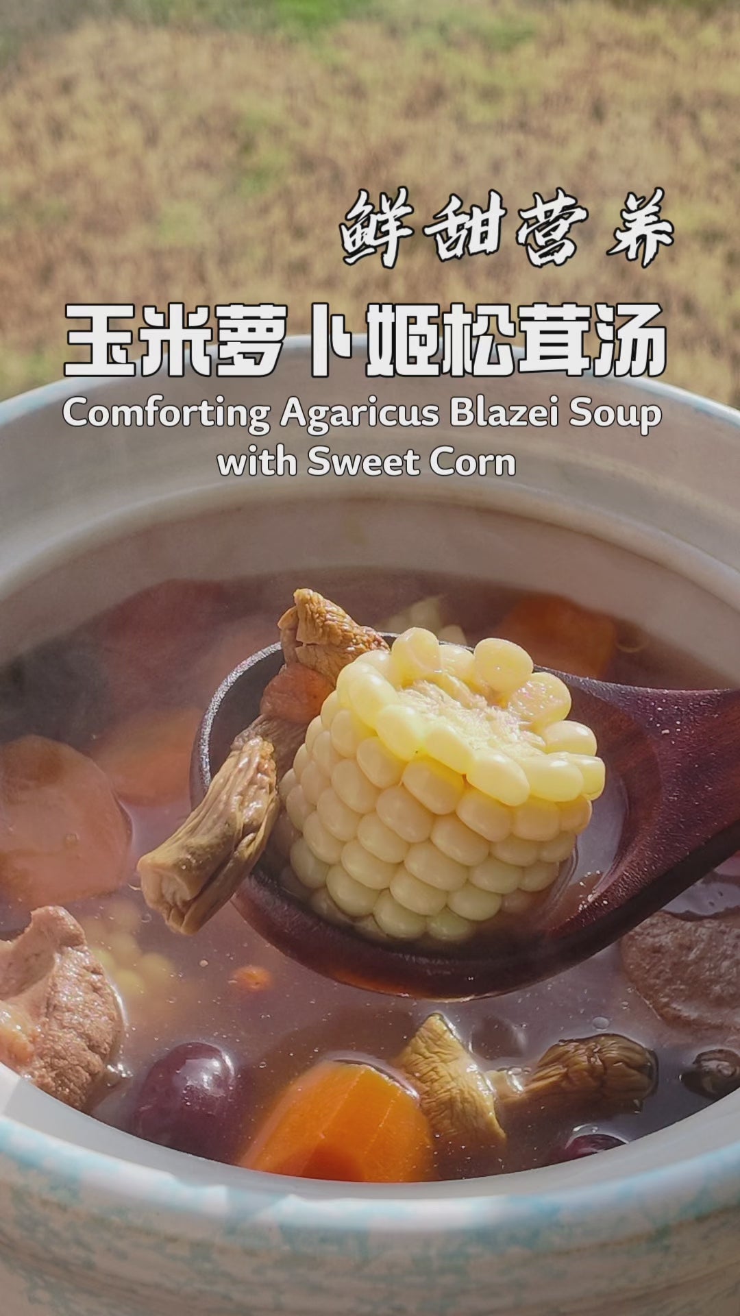 玉米萝卜姬松茸汤 · Corn Radish and Ji Song Rong Mushroom Soup