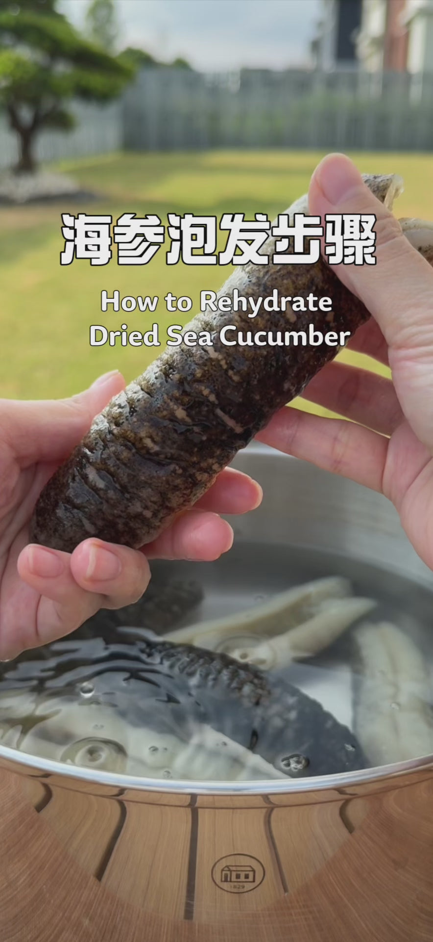 Great Ocean guide to soaking dried sea cucumber 大洋海味海参泡发指南