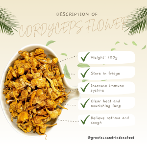 [100g] Great Mountain Cordyceps Flower (Big) | 虫草花大孢子头 - Image 4