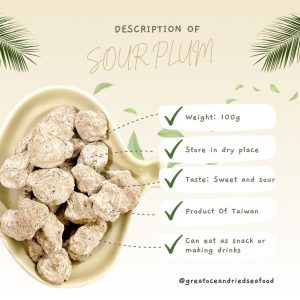 [100g] Great Ocean Bao Dao Sour Plum | 宝岛话梅 - Image 3
