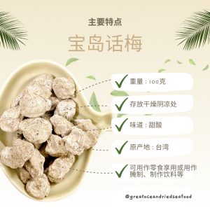 [100g] Great Ocean Bao Dao Sour Plum | 宝岛话梅 - Image 4
