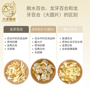 [80g] Great Ocean Premium Dried Lily Bulb (Big) | 无硫 龙牙百合 (大圆片) - Image 6