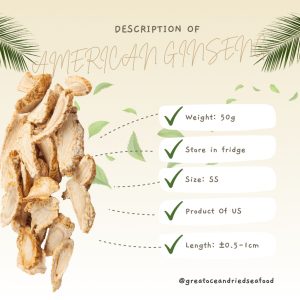 [50g-SS] Great Ocean American Ginseng | 泡参 - Image 3