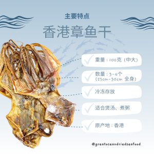 [100g] Great Ocean Hong Kong Dried Octopus | 香港章鱼片 (干) - Image 4