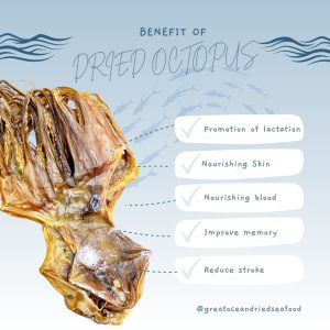 [100g] Great Ocean Hong Kong Dried Octopus | 香港章鱼片 (干) - Image 5