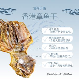 [100g] Great Ocean Hong Kong Dried Octopus | 香港章鱼片 (干) - Image 6