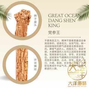 [160g] Great Ocean Dang Shen King | 党参王 (特级) - Image 5