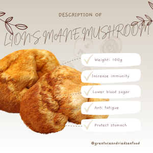 [100g] Great Ocean Lion's Mane Mushroom | 特级猴头菇 - Image 4