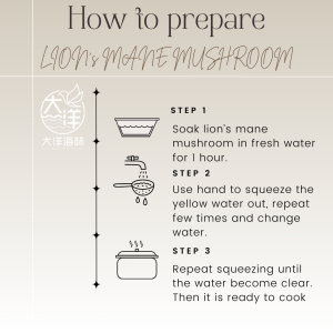 [100g] Great Ocean Lion's Mane Mushroom | 特级猴头菇 - Image 6