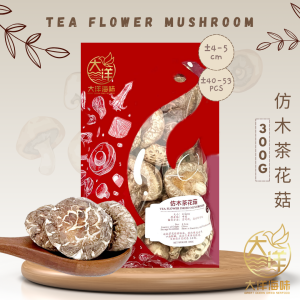 [300g] Great Ocean Tea Flower Dried Mushroom | 仿木茶花菇AA级