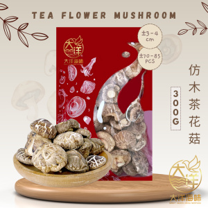 [300g] Great Ocean Tea Flower Dried Mushroom | 仿木茶花菇AA级 - Image 5
