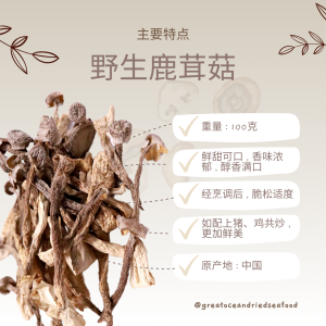 [100g] Great Ocean Dried Velvet Mushroom | 野生 鹿茸菇 - Image 4