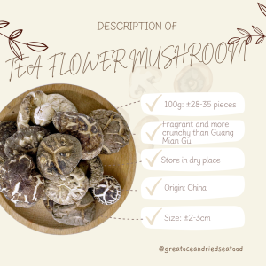 [100G] Great Ocean Tea Flower Dried Mushroom | 仿木茶花菇AA级 - Image 11