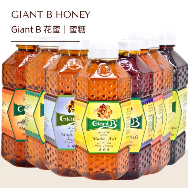 [500G] Giant B 纯正蜂蜜 | Assorted Giant B Honey | GIANT B Madu