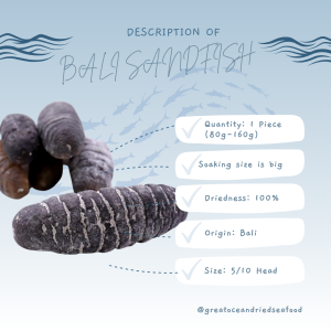 [1 piece] Great Ocean Bali Sandfish Sea Cucumber | 巴厘岛 纹秃参 5/10 头 - Image 10