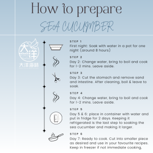 [1 piece] Great Ocean Bali Sandfish Sea Cucumber | 巴厘岛 纹秃参 5/10 头 - Image 12