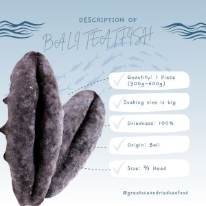 [1 piece] Great Ocean Bali White Teat 2/3 Head | 巴厘岛 猪婆参 2/3 头 (特大) - Image 5