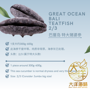[1 piece] Great Ocean Bali White Teat 2/3 Head | 巴厘岛 猪婆参 2/3 头 (特大) - Image 7