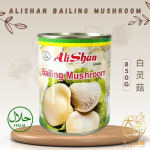 [850g] Alishan Bailing Mushroom | 阿里山 白灵菇