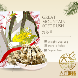 Great Ocean Juncus Effusus (Deng Xin Cao) | 灯芯草 (20g-25g) - Image 2