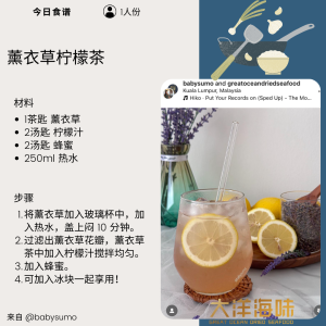 [25g] Great Ocean Lavender | 薰衣草 - Image 8