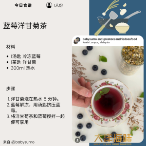 [25g] Great Ocean Germany Chamomile | 德国洋甘菊 - Image 8