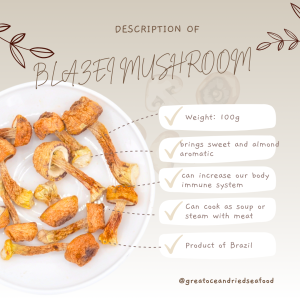 [100g] Great Ocean Agaricus Blazei Mushroom | 精选 巴西蘑菇 ｜ 姬松茸 - Image 3