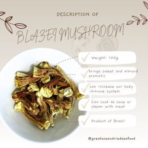 [100g] Great Ocean Agaricus Blazei Mushroom | 精选 巴西蘑菇 ｜ 姬松茸 - Image 11