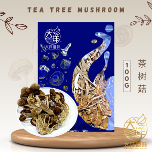 [100G] Great Ocean Agrocybe Aegerila | Tea Tree Mushroom | 茶树菇