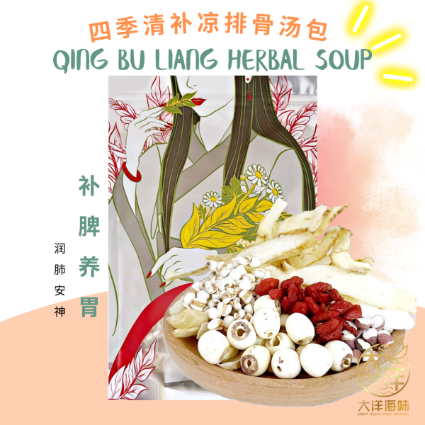 Great Ocean Qing Bu Liang Herbal Soup Pack | 四季清补凉汤包