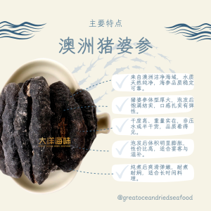 Great Ocean Australia Black Teat Sea Cucumber | 澳洲猪婆参 - Image 4