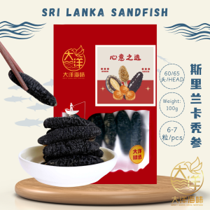 Sri Lanka Sandfish Sea Cucumber | 沙隆禿参 | 斯里兰卡禿参