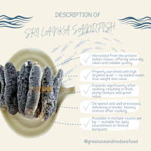 [300g] Great Ocean Sri Lanka Sandfish Sea Cucumber | 斯里兰卡秃参 (一级) - Image 3