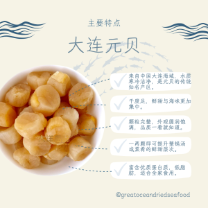 [300g] Great Ocean Chinese Dried Scallop | 精选大连干贝 ｜ 大连元贝 - Image 3